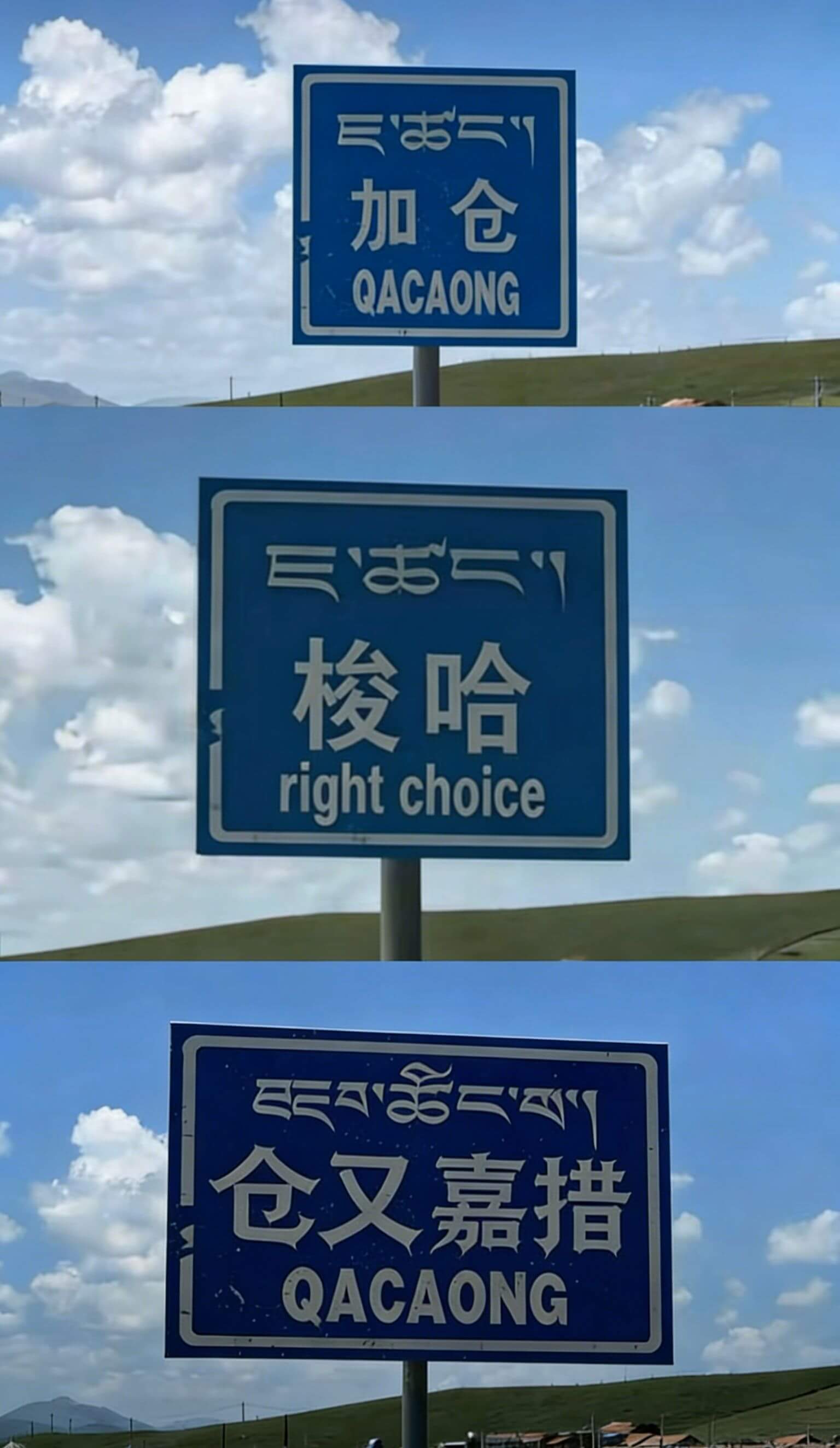加仓QACAONG川梭哈rightchoice仓又嘉措QAC