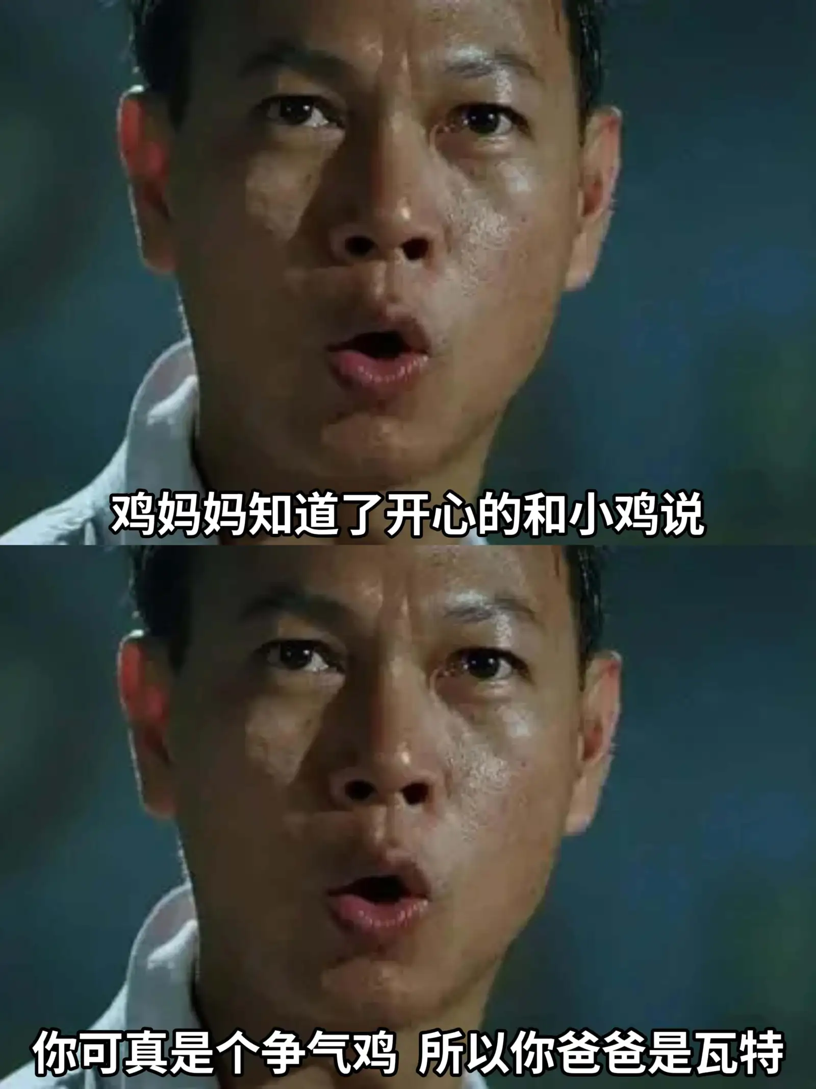 鸡妈妈知道了,开心地和小鸡说:“你可真是个争气的鸡,所以你爸