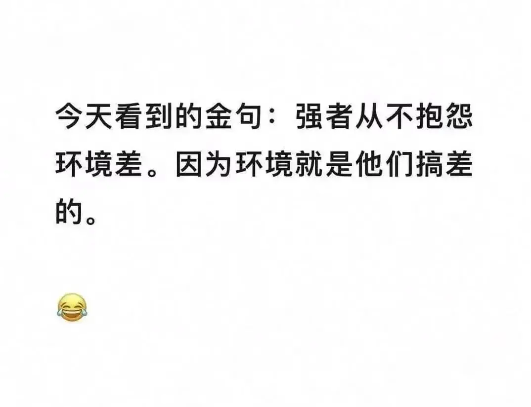 今天看到的金句：强者从不抱怨环境差。因为环境就是他们搞差的。
