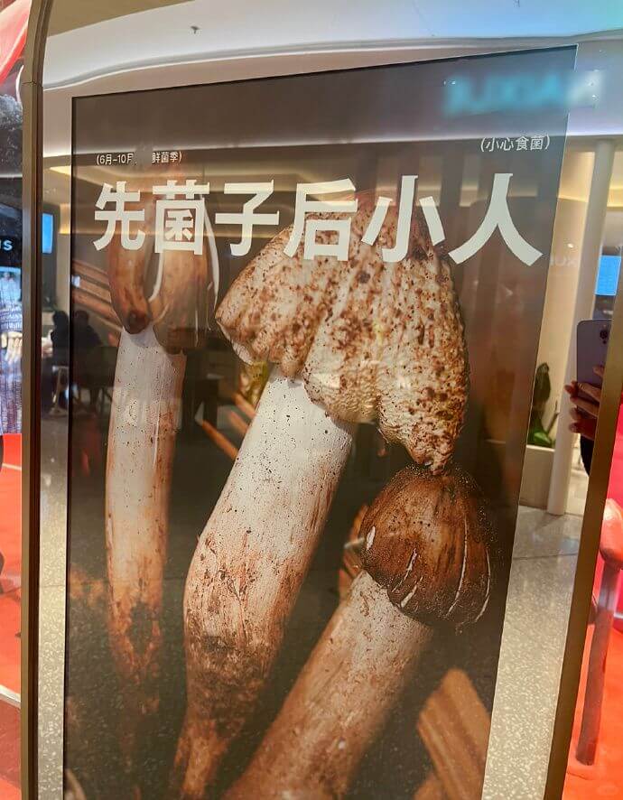 (6月-10月鲜菌)(小心食菌)先菌子后小人