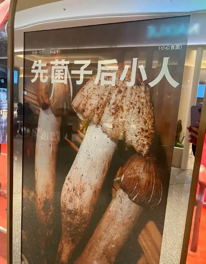 (6月-10月鲜菌)(小心食菌)先菌子后小人