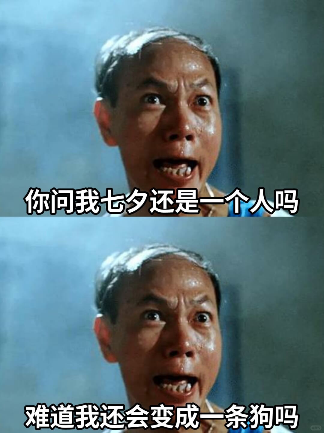 你问我七夕还是一个人吗难道我还会变成一条狗吗