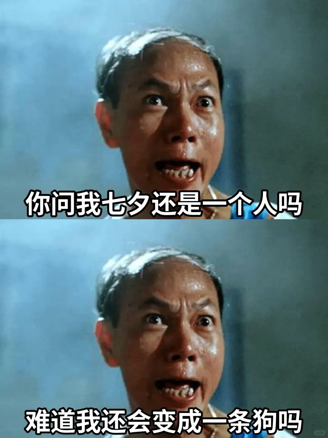 你问我七夕还是一个人吗难道我还会变成一条狗吗