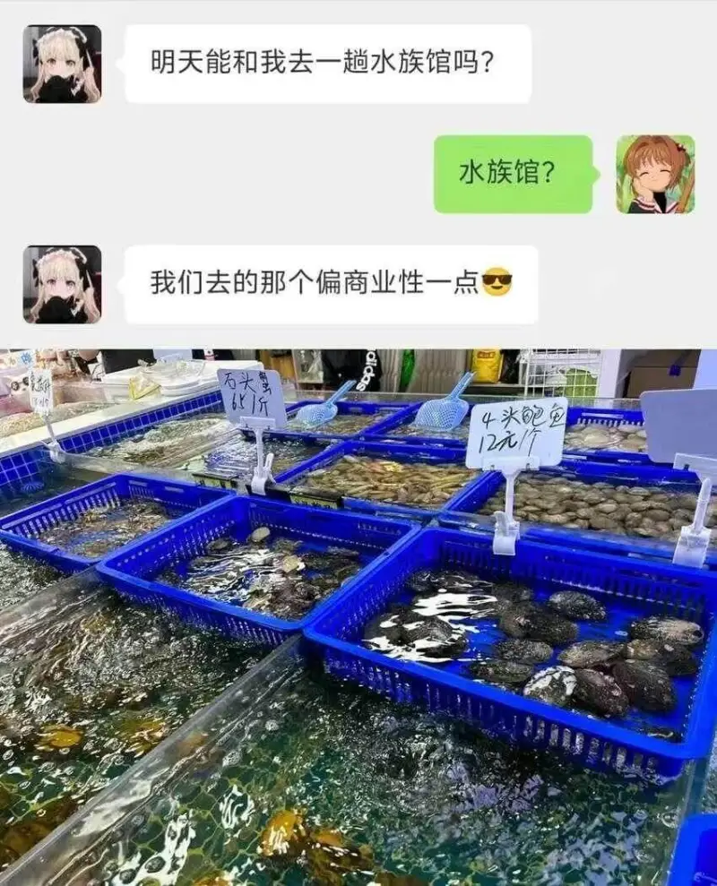 明天能和我去一趟水族馆吗？水族馆？我们去的那个偏商业性一点，