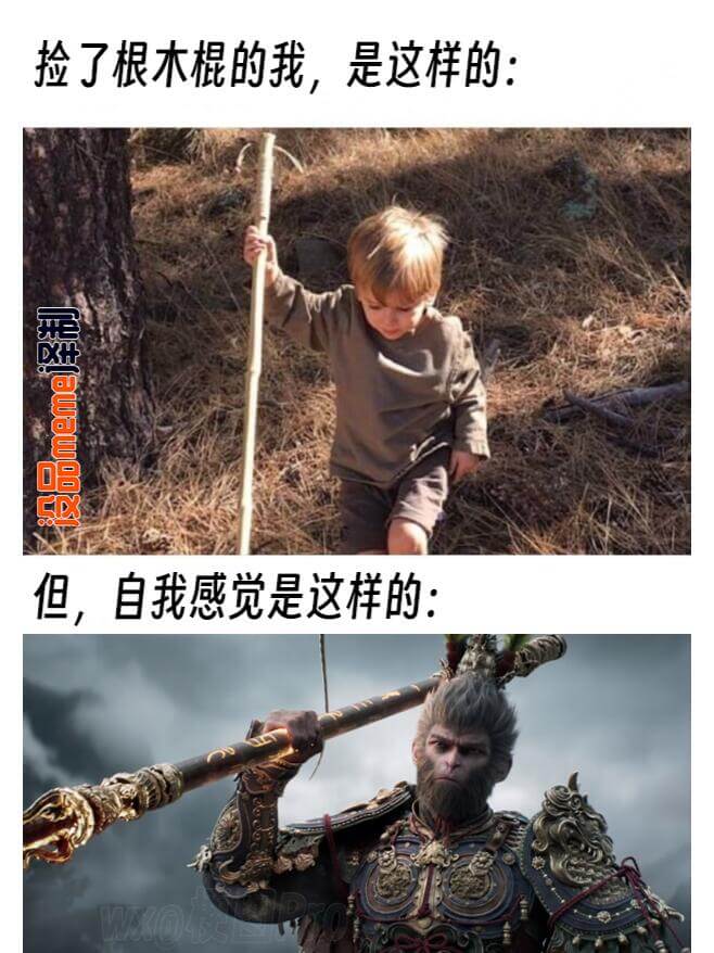 捡了根木棍的我，是这样的：泽制没品meme泽制但，自我感觉是