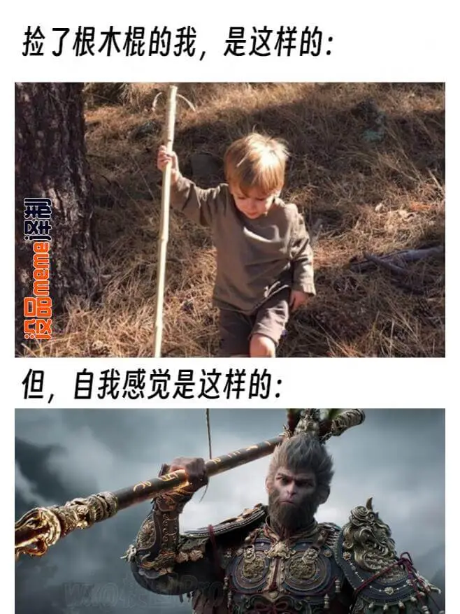 捡了根木棍的我，是这样的：泽制没品meme泽制但，自我感觉是