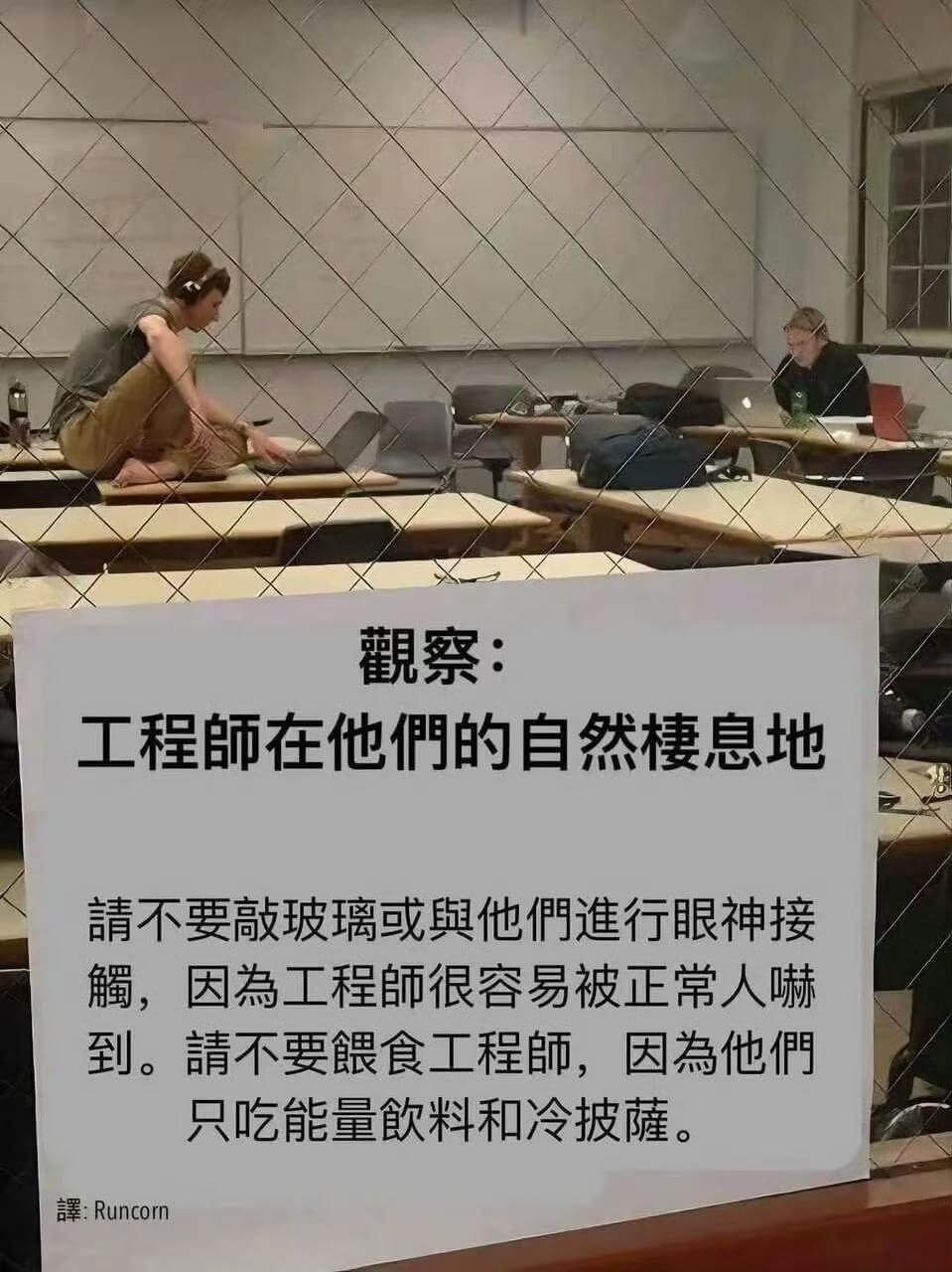 觀察：工程師在他們的自然息地。請不要敲玻璃，或與他們進行眼神
