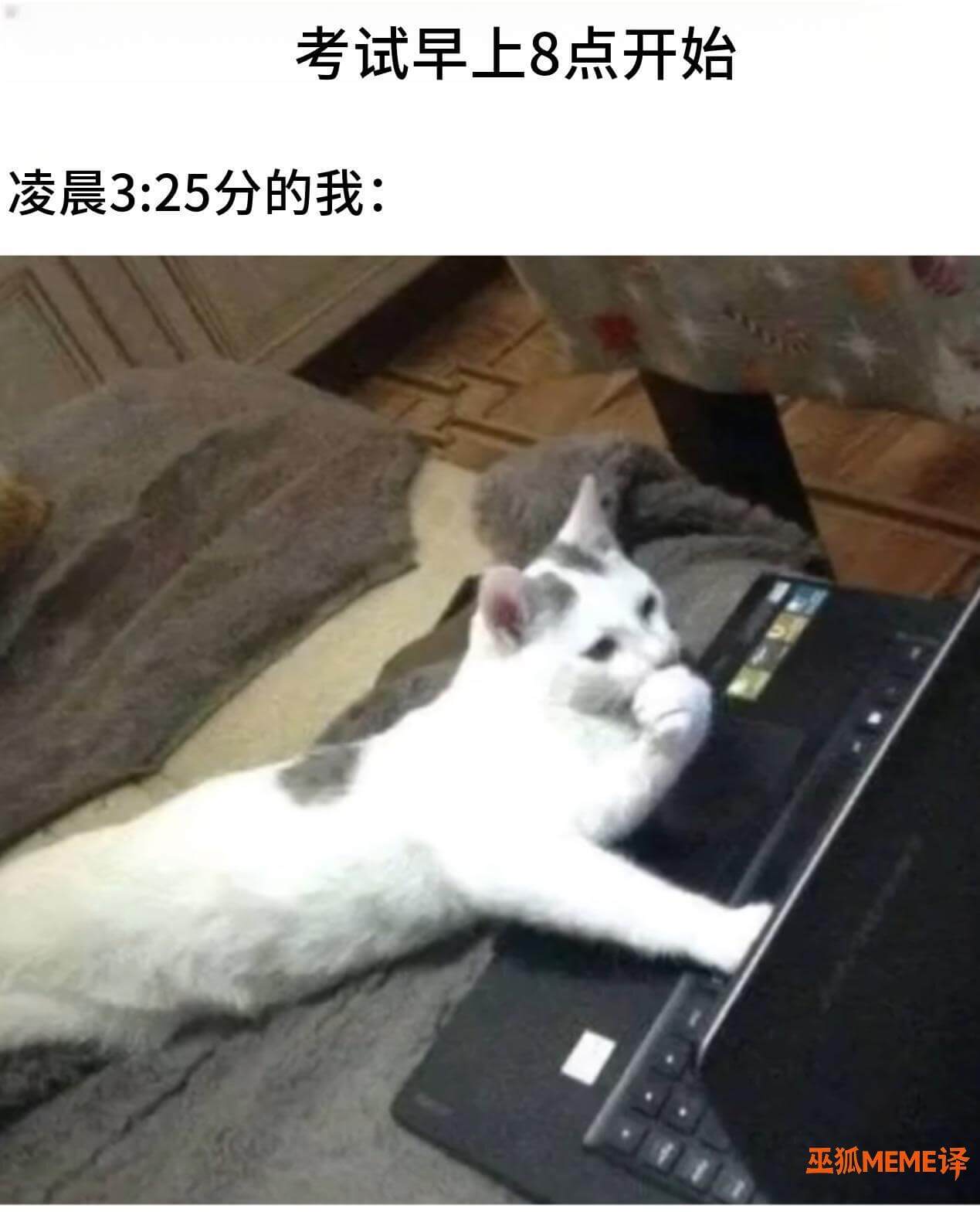 考试早上8点开始凌晨3:25分的我：巫狐MEME译