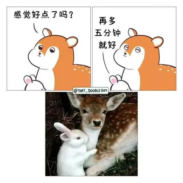 感觉好点了吗？再多五分钟就好@THAT_DOODLEGUY