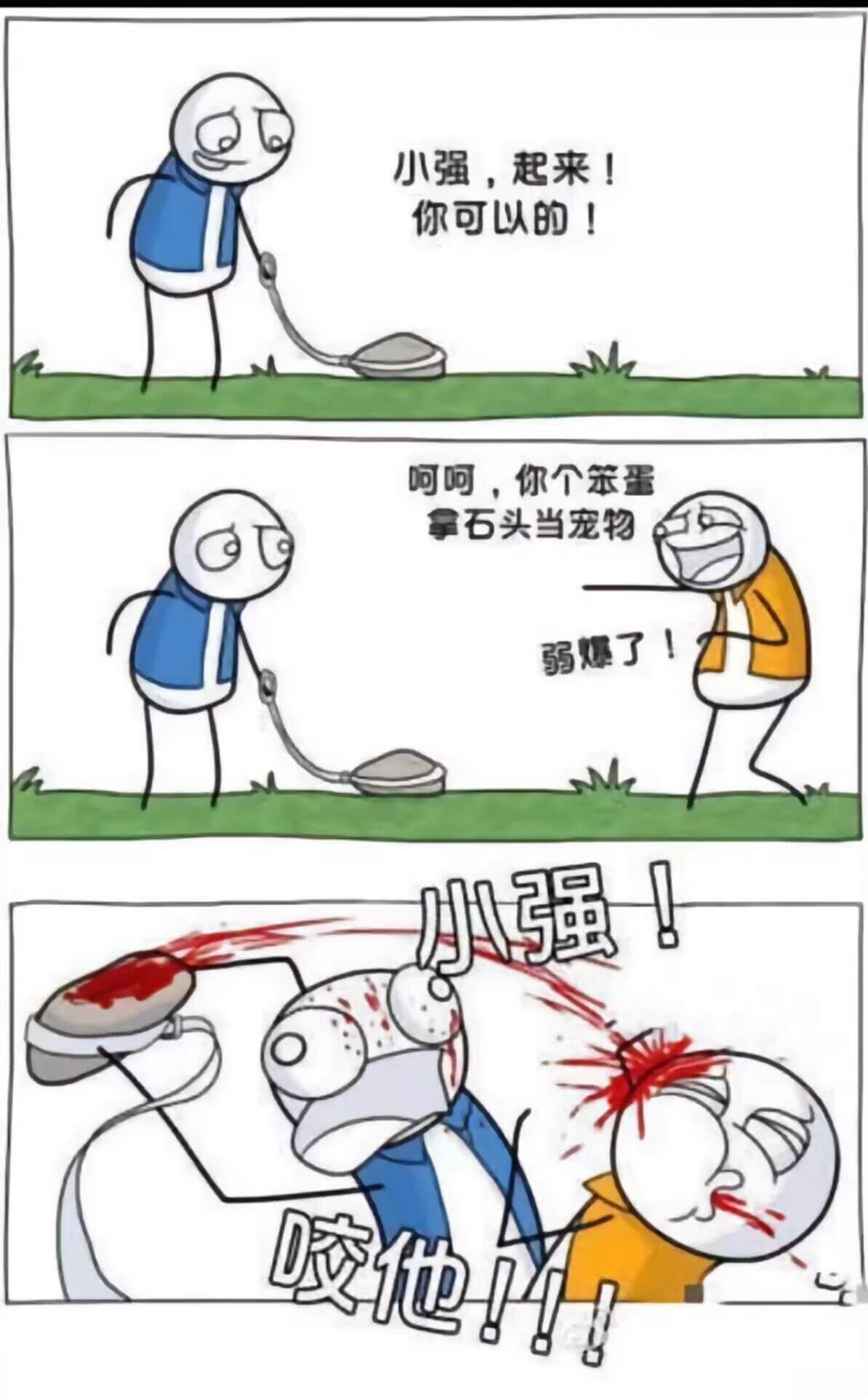小强，起来！你可以的！呵呵，你个笨蛋，拿石头当宠物，弱爆了！