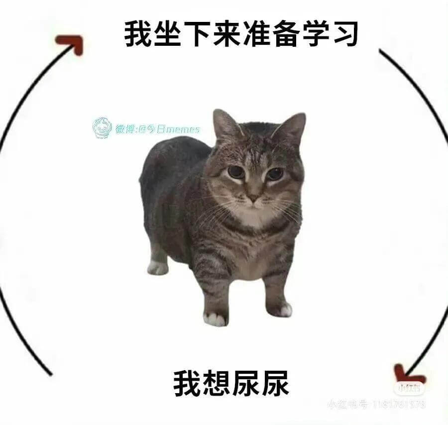 我坐下来准备学习。我想尿尿。小红书号：118171578
