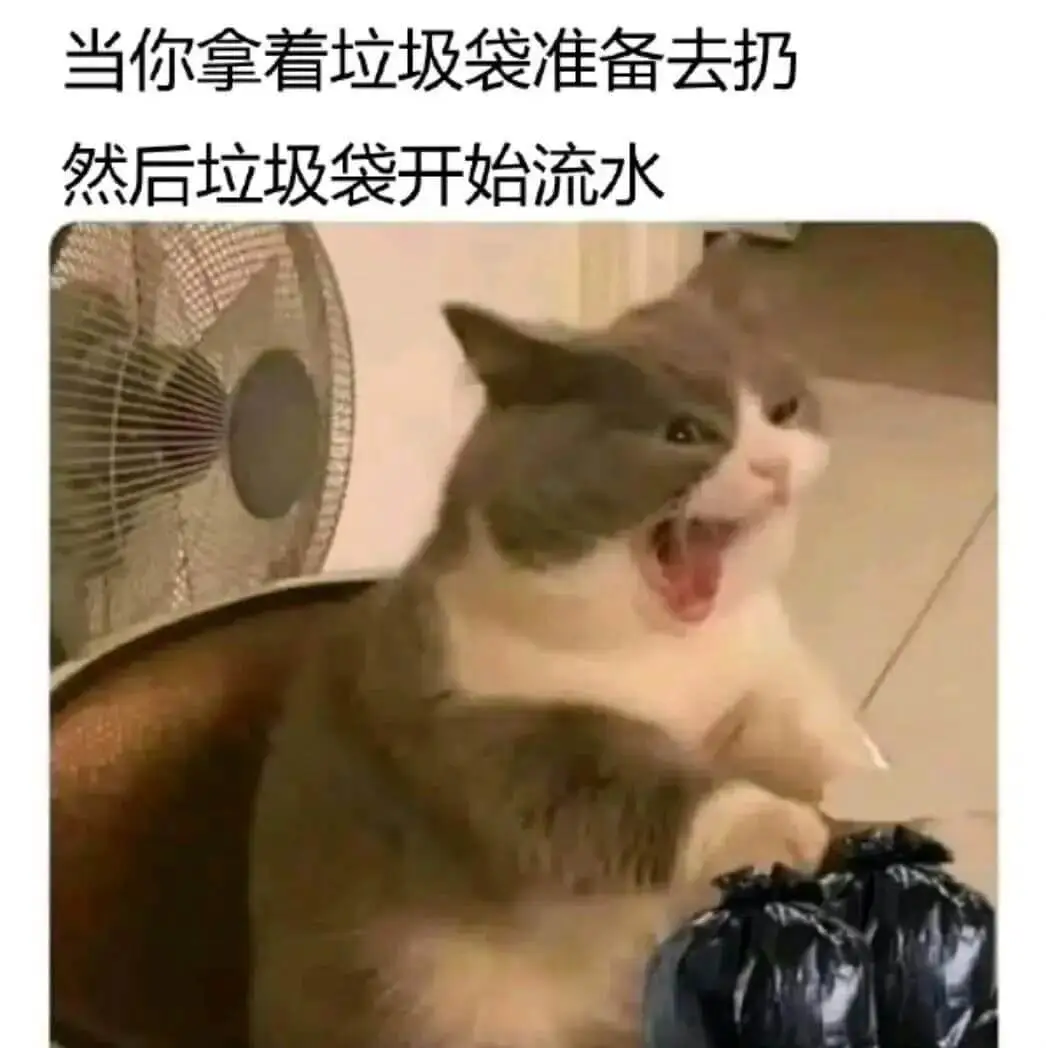当你拿着垃圾袋准备去扔，然后垃圾袋开始流水。
