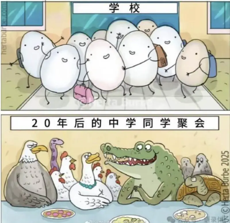 学校20年后的中学同学聚会5700
