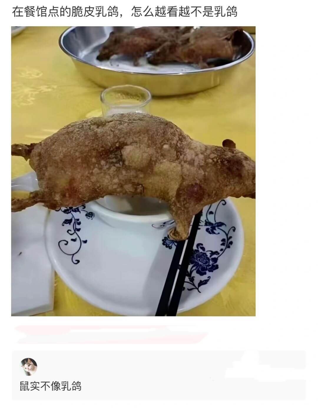 在餐馆点的脆皮乳鸽，怎么越看越不是乳鸽鼠实不像乳鸽