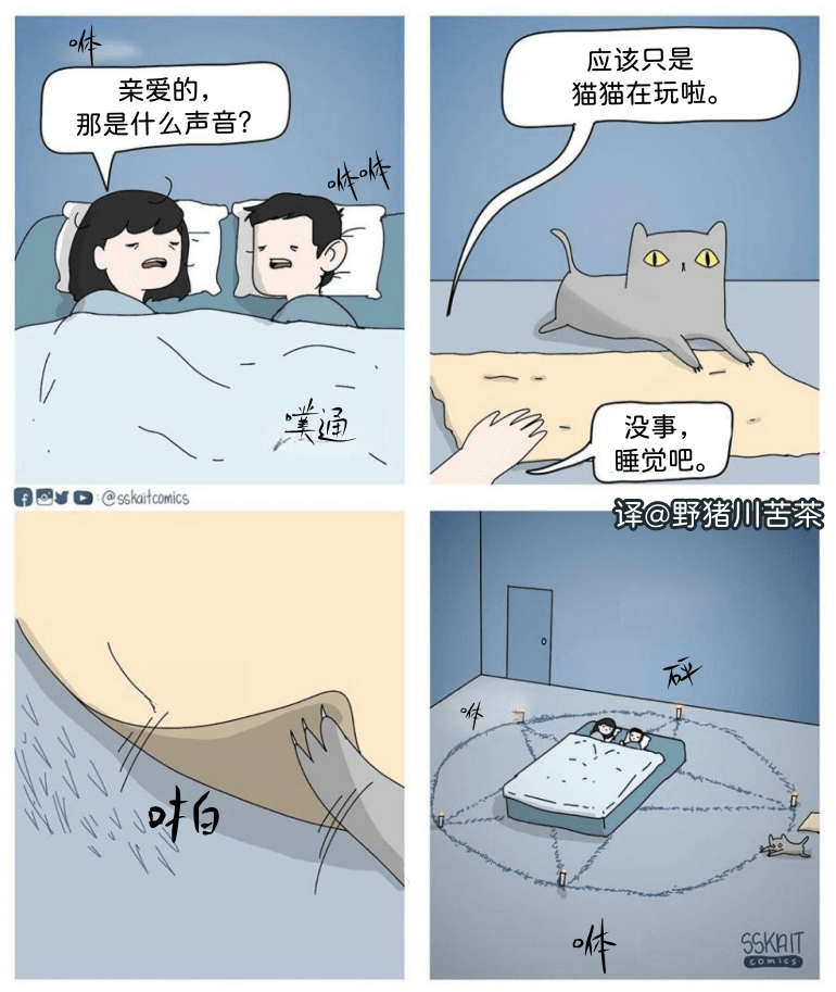 亲爱的，那是什么声音？噗通应该只是猫猫在玩啦。没事，睡觉吧。