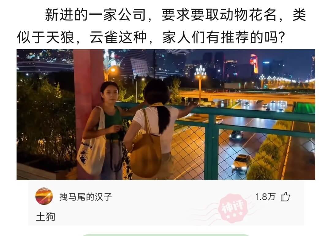 新进的一家公司，要求要取动物花名，类似天狼，云雀这种，家人们