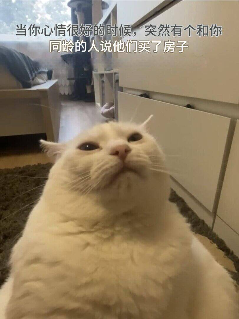 当你心情很好的时候，突然有个和你同龄的人说他们买了房子