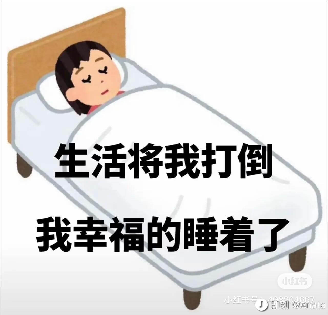 生活将我打倒。我幸福地睡着了。