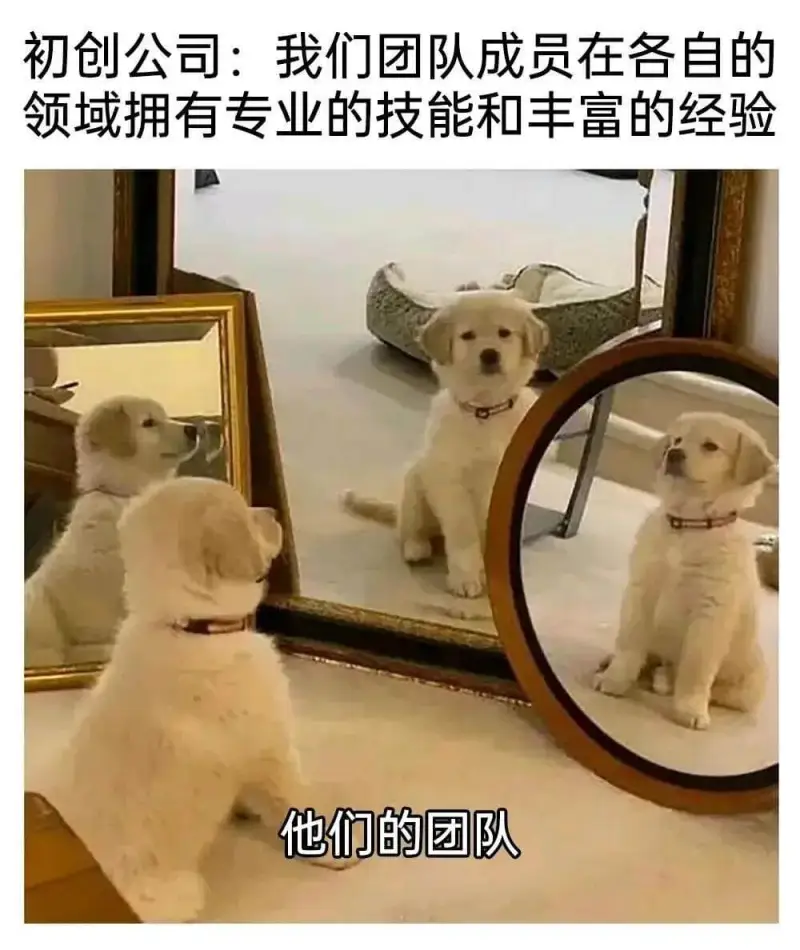 初创公司：我们团队成员在各自的领域拥有专业的技能和丰富的经验