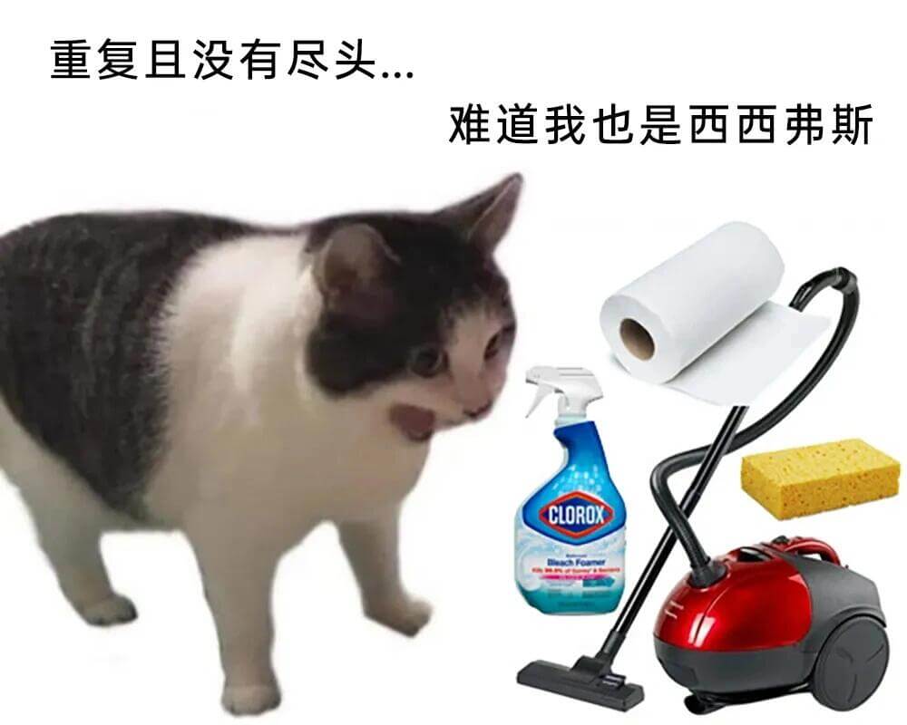 重复且没有尽头。难道我也是西西弗斯？CLOROX