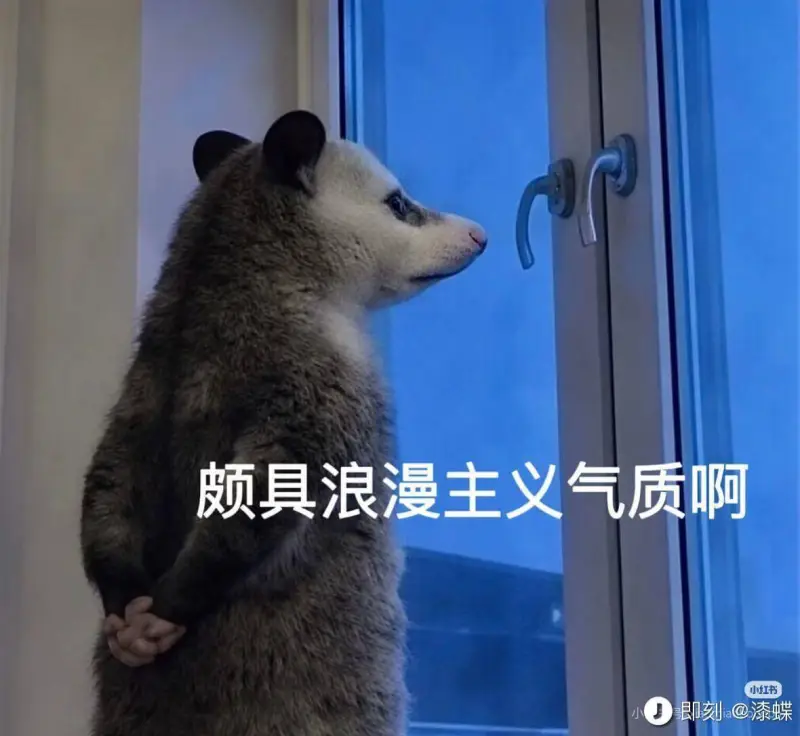 颇具浪漫主义气质啊小红书｜即刻@漆蝶