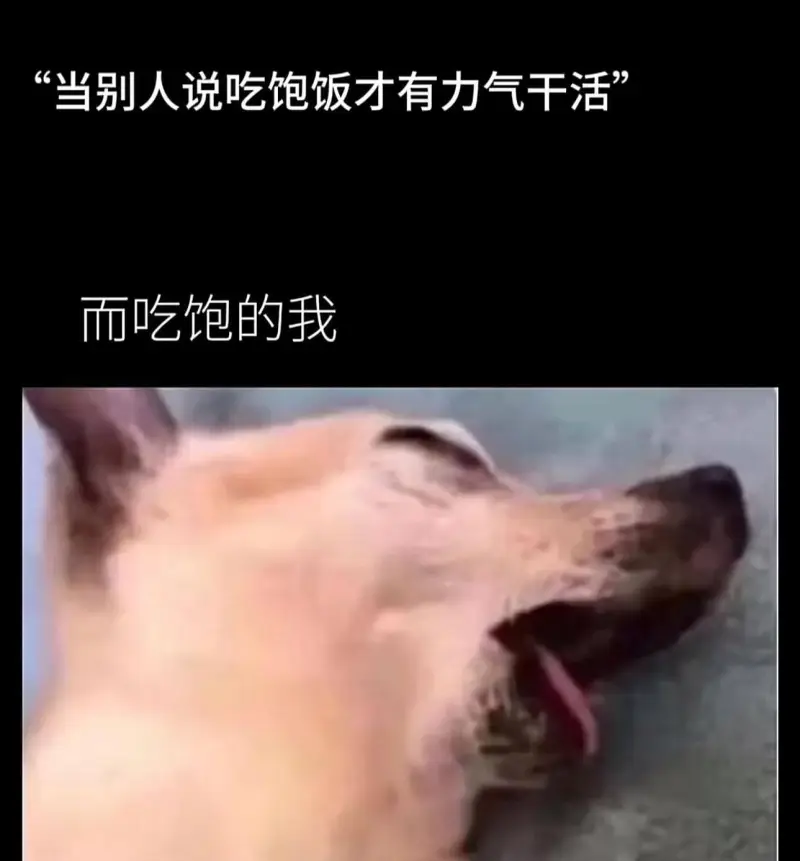 “当别人说吃饱饭才有力气干活，而吃饱的我”