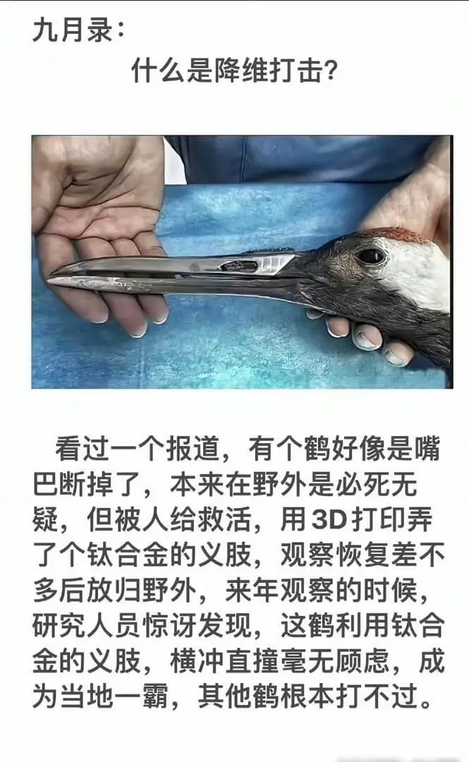 九月录:什么是降维打击?看过一个报道,有个鹤好像是嘴巴断掉了