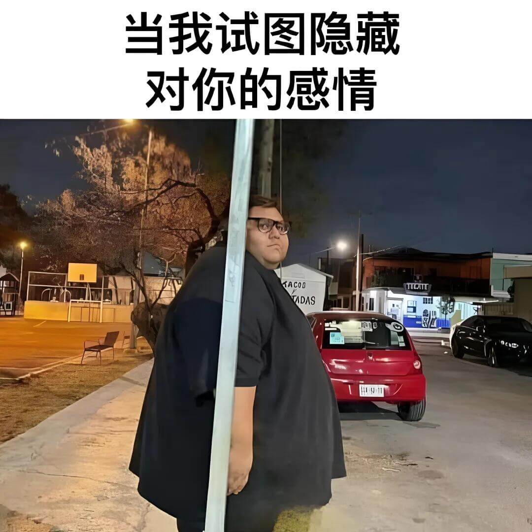 当我试图隐藏对你的感情TACOGADAS