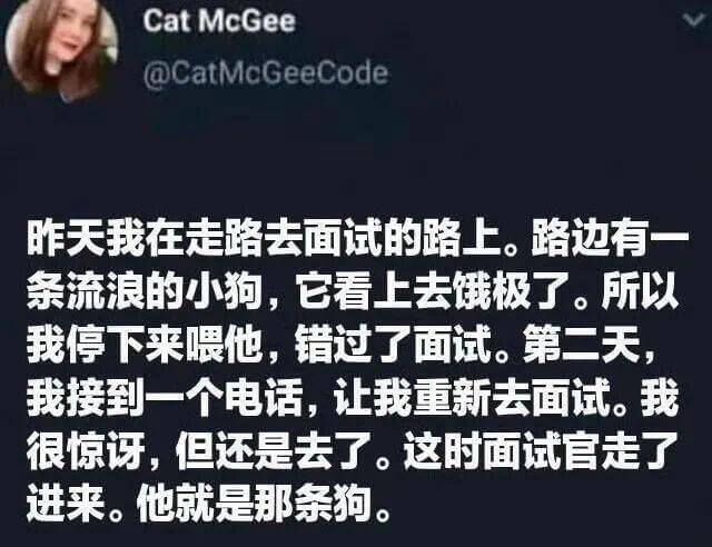 CatMcGee@CatMcGeeCode天我在走路去面试的