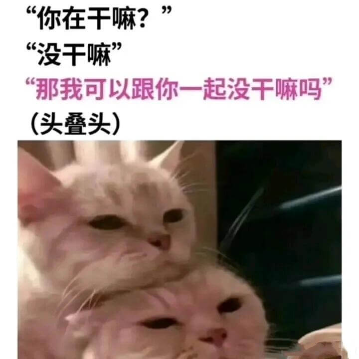 “你在干嘛？”“没干嘛。”那我可以跟你一起没干嘛吗？（头叠头