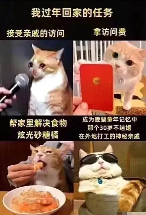 我过年回家的任务接受亲戚的访问拿访问费帮家里解决食物炫光砂糖