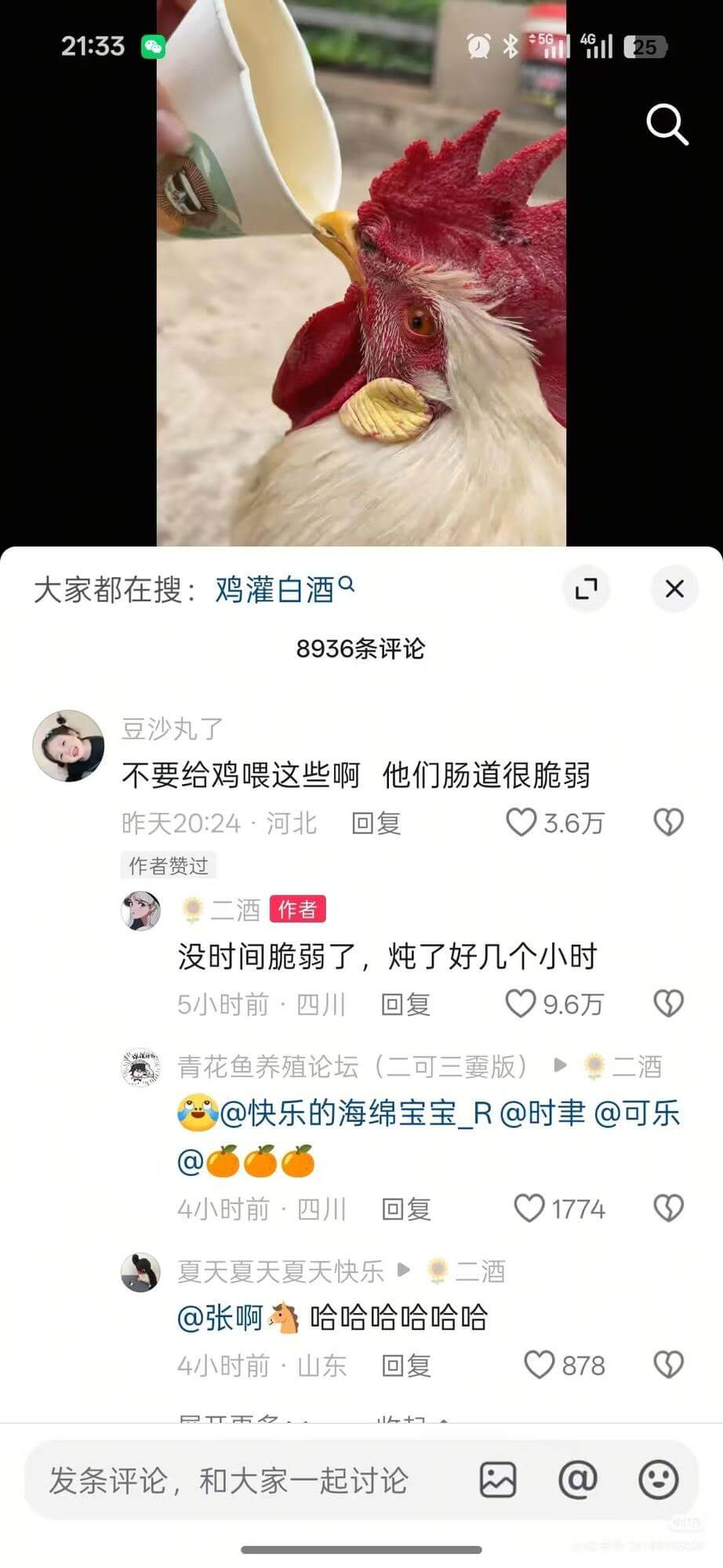 21:33Q541125大家都在搜：鸡灌白酒Q78936条评
