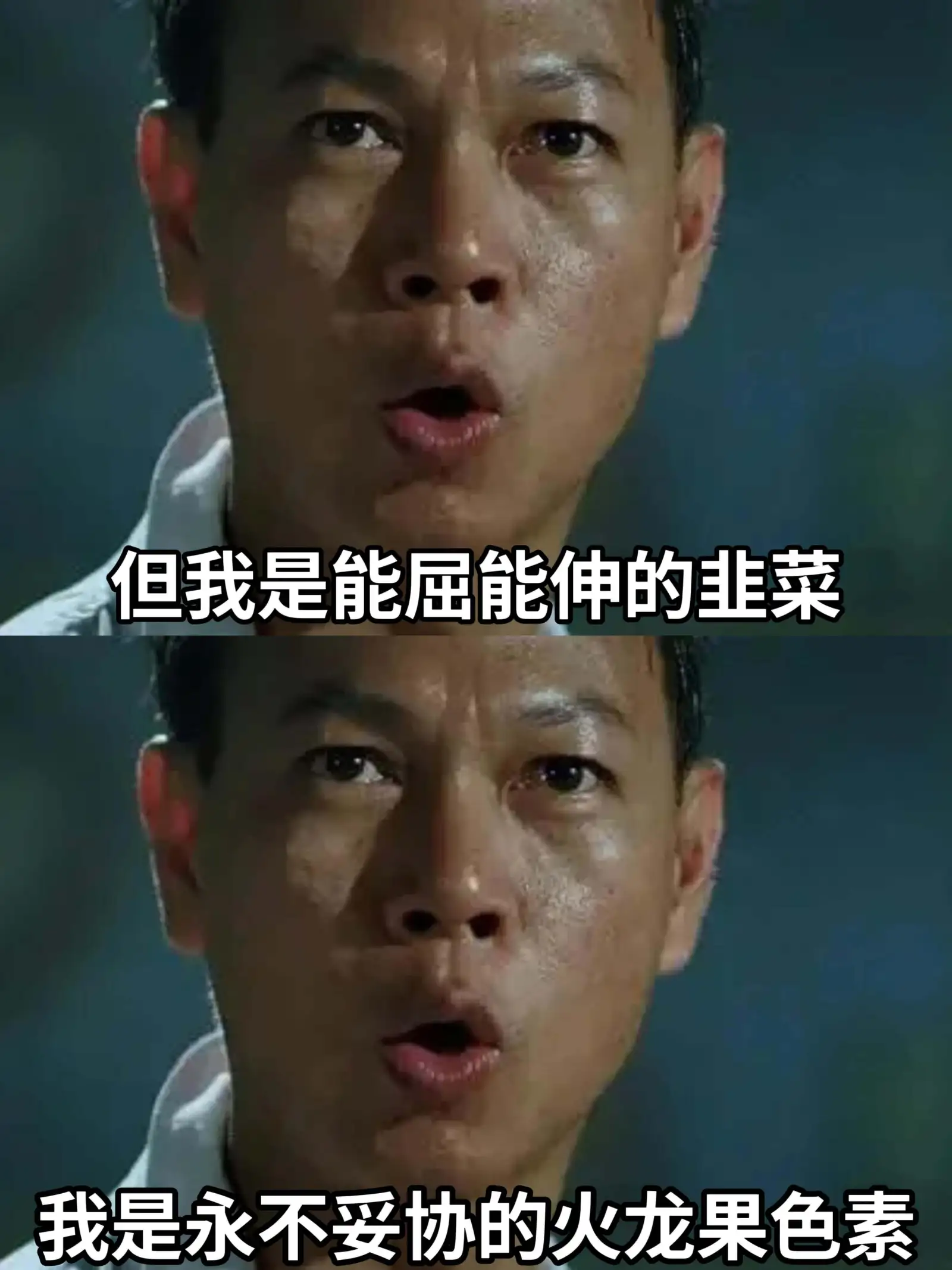 但我是能屈能伸的韭菜。我是永不妥协的火龙果色素。