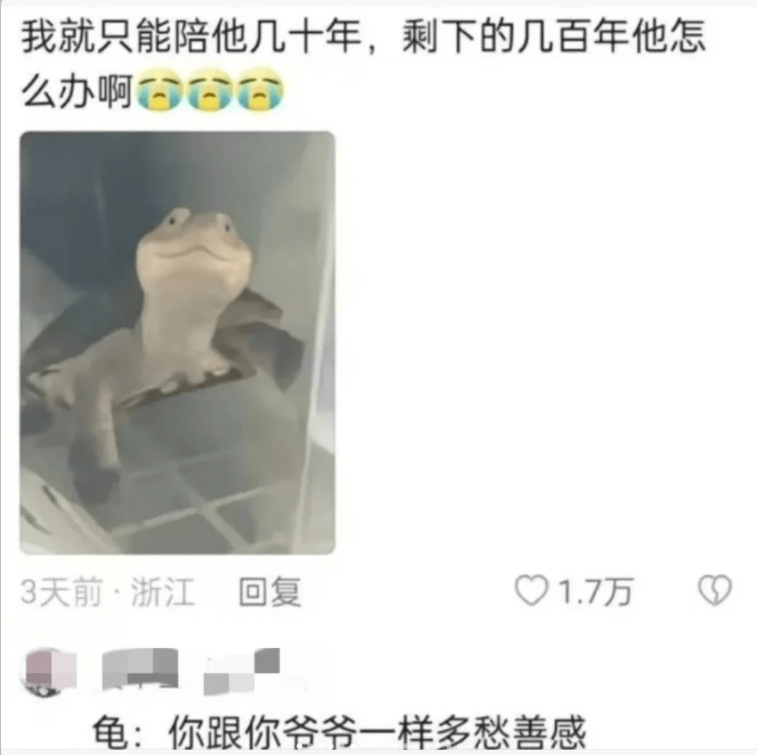 我就只能陪他几十年，剩下的几百年他怎么办啊百百百3天前·浙江