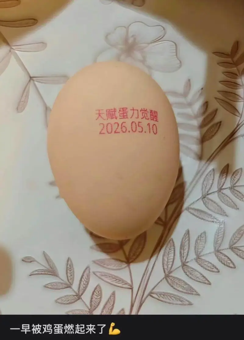 天赋蛋力觉醒2026.05.10一早被鸡蛋燃起来了