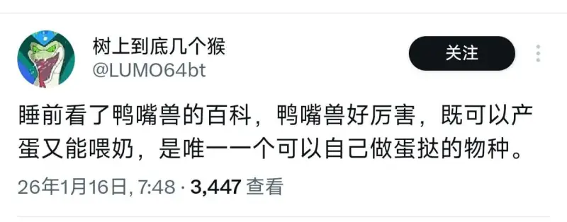 树上到底几个猴关注@LUMO64bt睡前看了鸭嘴兽的百科，鸭