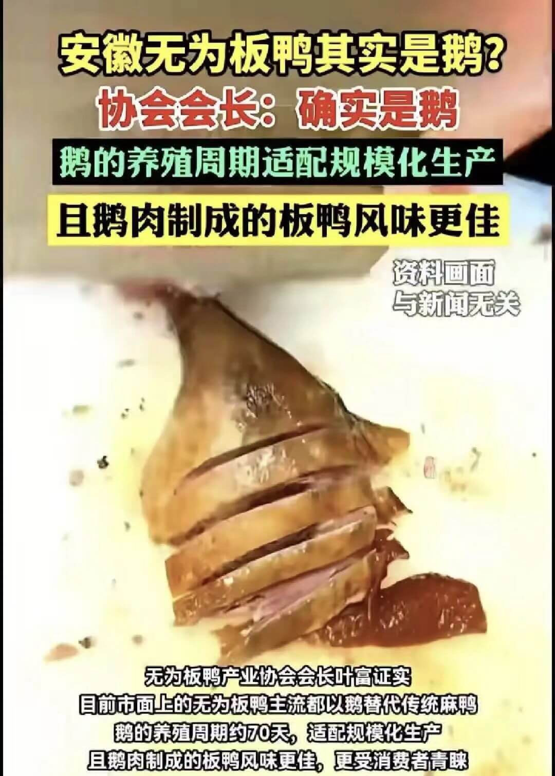 安徽无为板鸭其实是鹅？协会会长：确实是鹅。鹅的养殖周期适配规