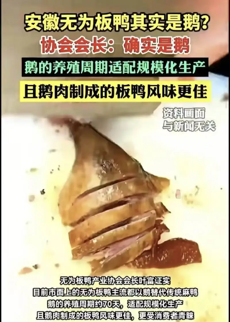安徽无为板鸭其实是鹅？协会会长：确实是鹅。鹅的养殖周期适配规