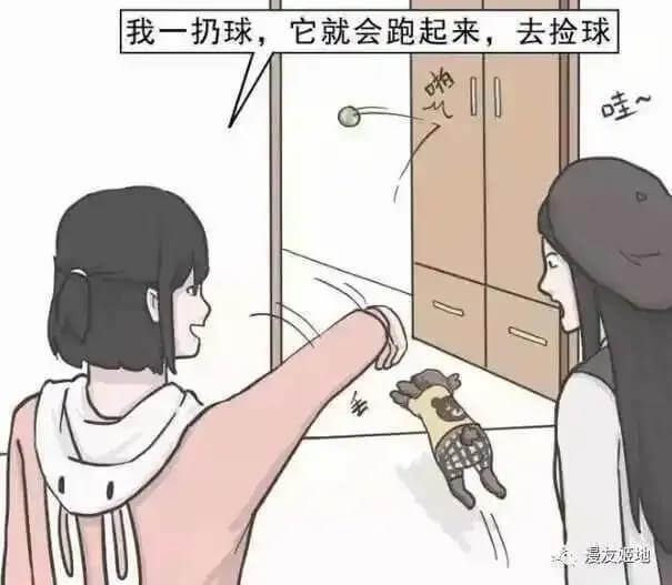 我一扔球，它就会跑起来，去捡球。哇！漫友顺