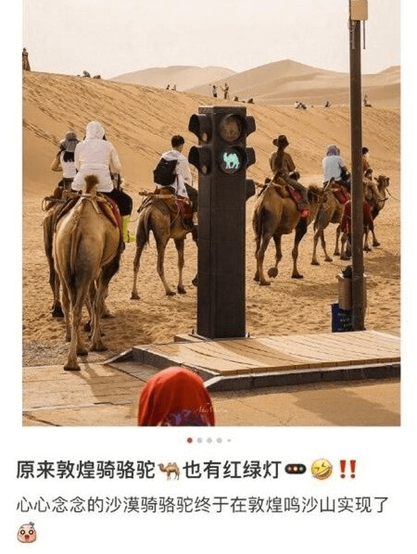 原来敦煌骑骆驼也有红绿灯！！心心念念的沙漠骑骆驼终于在敦煌鸣