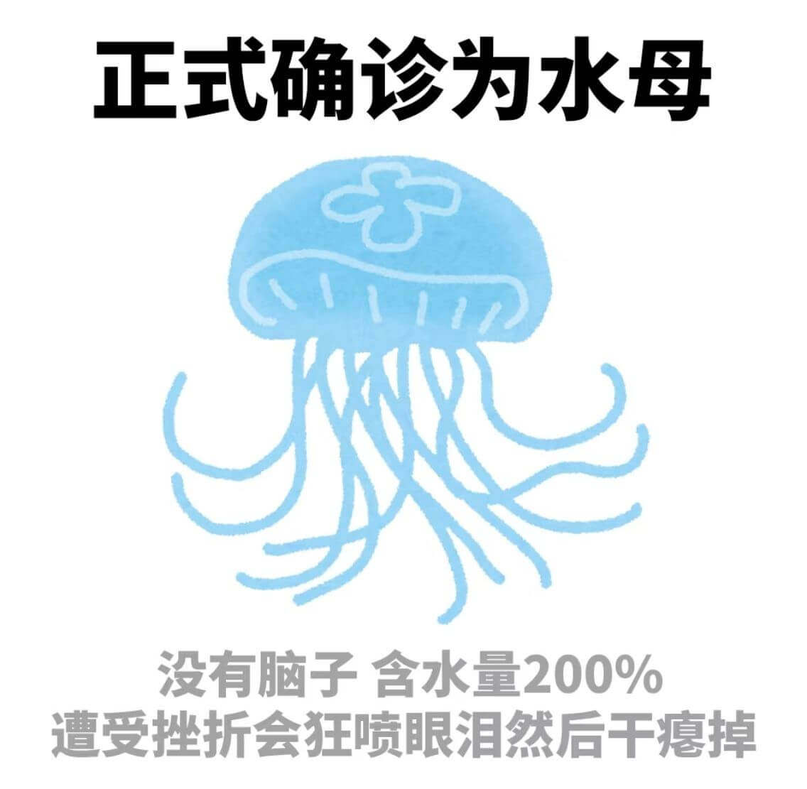 正式确诊为水母,没有脑子,含水量200%。遭受挫折会狂喷眼泪