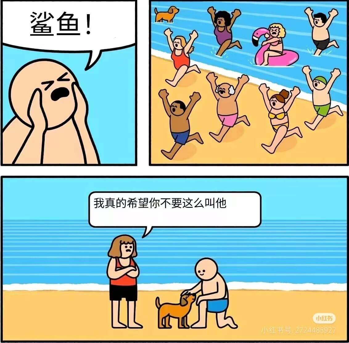 鲨鱼！我真的希望你不要这么叫他小书小组书号：27244888