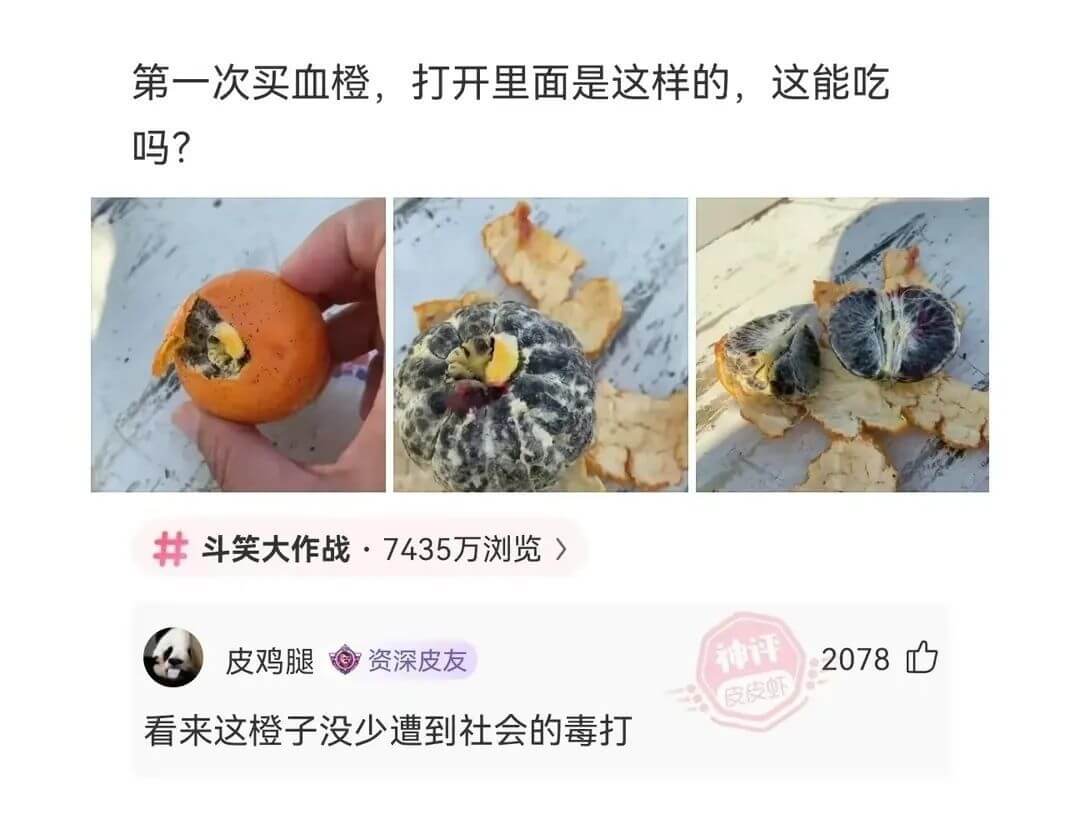 第一次买血橙，打开里面是这样的，这能吃吗？斗笑大作战·743