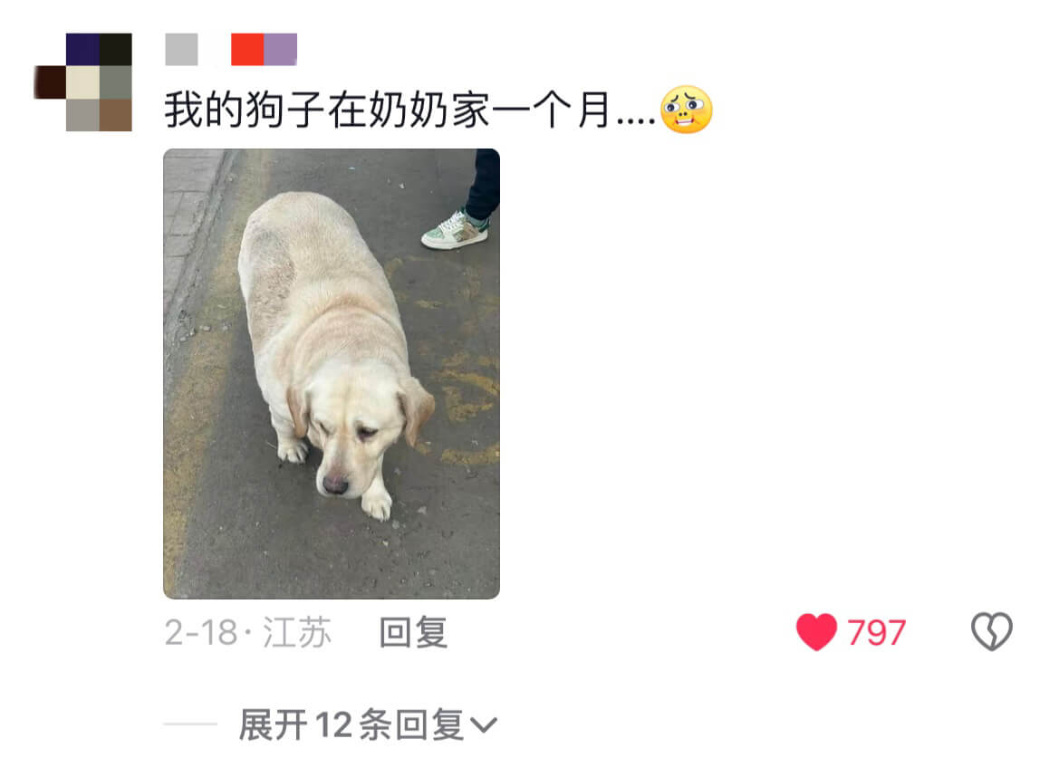我的狗子在奶奶家一个月....2-18·江苏回复797展开1