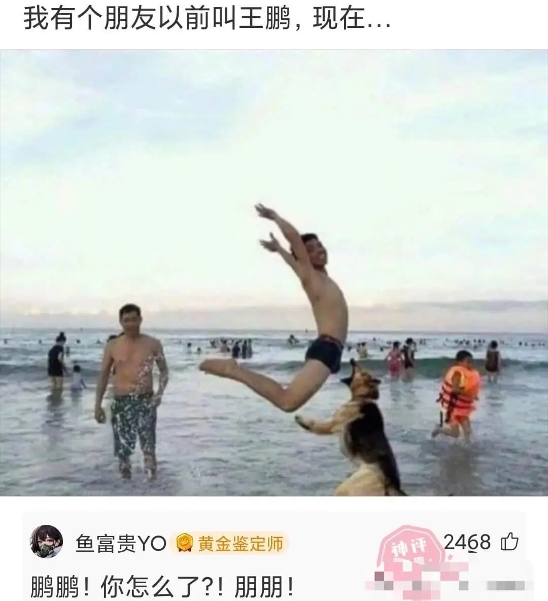 我有个朋友以前叫王鹏，现在...鱼富贵YO黄金鉴定师鹏鹏!你