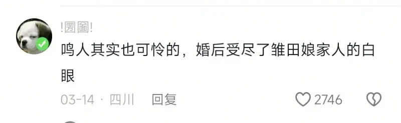 ！圈！鸣人其实也可怜的，婚后受尽了雏田娘家人的白眼。03-1