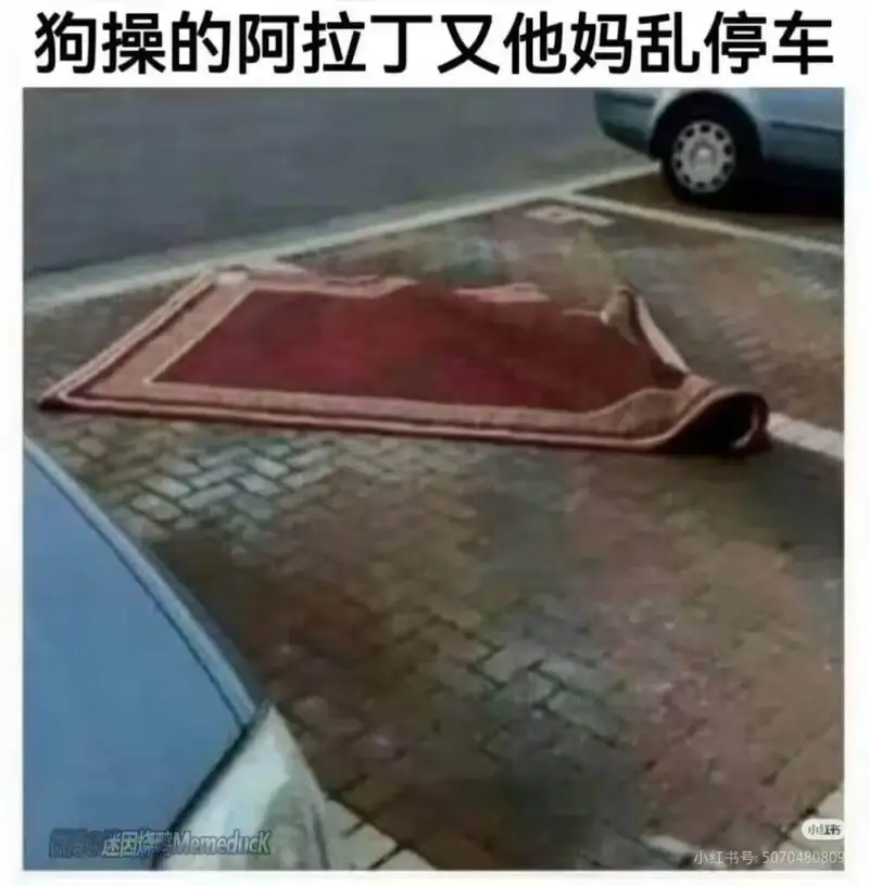 狗操的阿拉丁又他妈乱停车小红书还国烧MemedncK小红书号