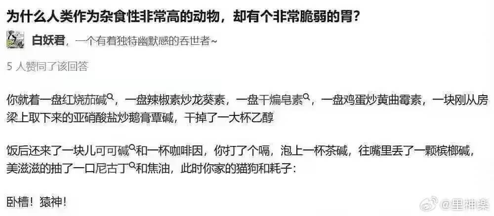 为什么人类作为杂食性非常高的动物，却有个非常脆弱的胃？白妖君