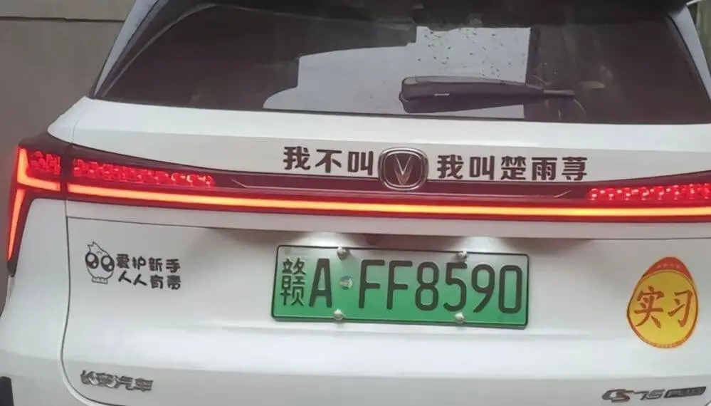 我不叫我叫楚雨荨爱护新手人人有责:赣A·FF8590实习