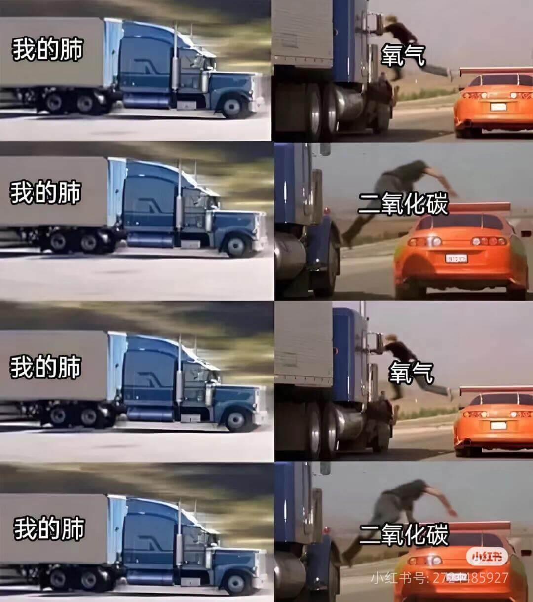 我的肺氧气我的肺二氧化碳我的肺氧气我的肺二氧化碳小红书小红书